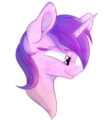 Size: 3187x3483 | Tagged: safe, artist:elskafox, amethyst star, sparkler, pony, unicorn, g4, female, high res, mare, portrait, profile, solo