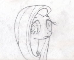 Size: 1045x844 | Tagged: safe, artist:pancake-skunk, fluttershy, pony, g4, animated, bust, cute, female, frame by frame, grayscale, looking at you, mare, monochrome, pencil drawing, photo, shyabetes, solo, trace, traditional animation, traditional art