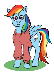 Size: 640x900 | Tagged: artist needed, source needed, safe, rainbow dash, g4, backwards cutie mark, clothes, female, solo