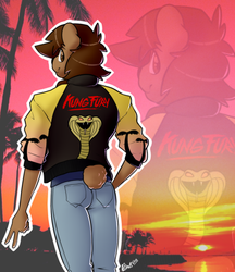 Size: 500x578 | Tagged: safe, oc, oc only, anthro, kung fury, male, solo