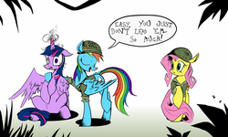 Size: 1666x1000 | Tagged: dead source, safe, artist:php15, fluttershy, rainbow dash, twilight sparkle, alicorn, pony, g4, female, full metal jacket, get some, mare, military, movie quote, ptsd, twilight sparkle (alicorn)