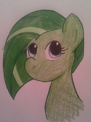 Size: 862x1157 | Tagged: safe, artist:atomiclov, oc, oc only, oc:jade aurora, earth pony, pony, colored pencil drawing, female, marker, marker drawing, portrait, simple background, traditional art, white background