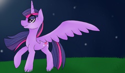 Size: 1024x600 | Tagged: safe, artist:ash0816, twilight sparkle, alicorn, pony, g4, female, mare, solo, twilight sparkle (alicorn)