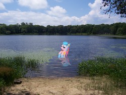 Size: 2832x2128 | Tagged: safe, artist:flutterboom, artist:wolfgangthe3rd, pinkie pie, g4, forest, high res, irl, photo, pond, ponies in real life, reflection, snorkel, solo, swimming, vector, wet mane