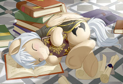 Size: 2560x1740 | Tagged: safe, artist:dstears, oc, oc only, oc:halo prime, pegasus, pony, g4, book, bookhorse, clothes, cute, hoodie, male, runes, scroll, sleeping, solo, that pony sure does love books, underhoof