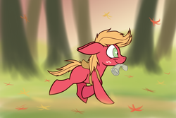 Size: 1000x666 | Tagged: safe, artist:heir-of-rick, big macintosh, earth pony, pony, daily apple pony, g4, backpack, leaves, male, mouth hold, part of a series, running, smiling, solo, stallion, younger