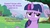 Size: 1280x720 | Tagged: safe, edit, edited screencap, screencap, princess cadance, twilight sparkle, a canterlot wedding, g4, female, image macro, meme, plothole, purple text, solo