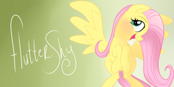 Size: 1000x500 | Tagged: dead source, safe, artist:wubcakeva, fluttershy, pony, g4, female, solo