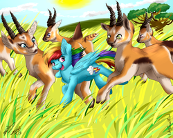 Size: 1024x819 | Tagged: safe, artist:victorydanceofficial, rainbow dash, gazelle, g4, backwards cutie mark, ear fluff, female, running, solo