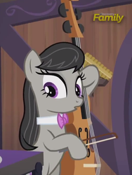 Size: 760x1010 | Tagged: safe, screencap, octavia melody, g4, slice of life (episode), cello, female, musical instrument, reaction image, solo