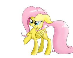 Size: 2500x2000 | Tagged: safe, artist:arcuswind, fluttershy, g4, female, high res, solo