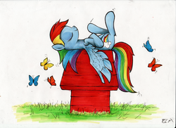 Size: 2000x1455 | Tagged: safe, artist:ecmonkey, rainbow dash, butterfly, pegasus, pony, g4, crossover, cute, dashabetes, doghouse, female, hoofy-kicks, mare, peanuts, sleeping, snoopy, solo