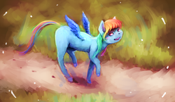 Size: 4068x2363 | Tagged: safe, artist:sharpieboss, rainbow dash, g4, female, fluffy, high res, solo, walking