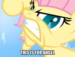 Size: 926x703 | Tagged: safe, fluttershy, smile hd, g4, angry, female, image macro, solo, this will end in pain
