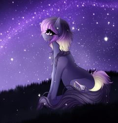 Size: 2400x2500 | Tagged: safe, artist:cristate, oc, oc only, oc:dusk delight, earth pony, firefly (insect), insect, pony, female, high res, mare, night, sitting, solo, stars