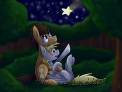 Size: 3264x2448 | Tagged: safe, artist:hilis, derpy hooves, doctor whooves, time turner, earth pony, pegasus, pony, g4, bush, cuddling, forest, high res, looking up, male, night, on back, ship:doctorderpy, shipping, shooting star, sitting, snuggling, stallion, stargazing, stars, straight, tree