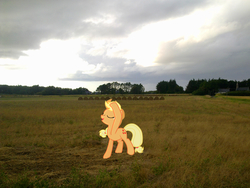 Size: 2449x1837 | Tagged: safe, artist:davidsfire, artist:makenshi179, applejack, g4, fabulous, field, hay bale, irl, photo, ponies in real life, sky, solo, vector