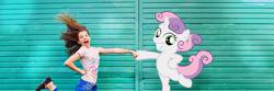 Size: 1500x500 | Tagged: safe, sweetie belle, human, pony, unicorn, g4, claire corlett, clothes, female, filly, foal, hoofbump, irl, irl human, photo, ponies in real life