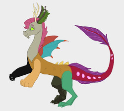 Size: 1087x974 | Tagged: safe, artist:carnifex, oc, oc only, unnamed oc, draconequus, hybrid, interspecies offspring, offspring, parent:discord, parent:fluttershy, parents:discoshy, simple background