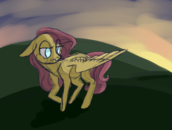 Size: 1280x970 | Tagged: safe, artist:jellybeanbullet, fluttershy, g4, female, sketch, solo