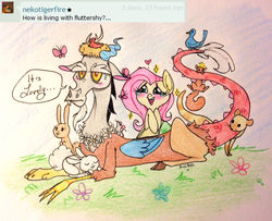 Size: 1280x1038 | Tagged: safe, artist:ameliacostanza, discord, fluttershy, g4, animal, ask, female, male, ship:discoshy, shipping, straight, traditional art, tumblr