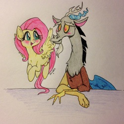 Size: 2377x2377 | Tagged: safe, artist:ameliacostanza, discord, fluttershy, g4, female, high res, male, ship:discoshy, shipping, straight, traditional art