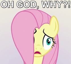 Size: 500x450 | Tagged: safe, edit, edited screencap, screencap, fluttershy, g4, party pooped, caption, disturbed, female, hair over one eye, image macro, reaction image, solo, upset, why