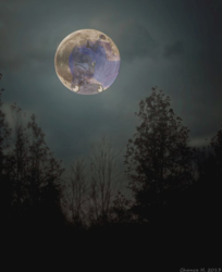 Size: 500x613 | Tagged: safe, artist:photomix3r, princess luna, g4, dark, irl, mare in the moon, moon, photo, ponies in real life, solo, tree, vector, wink