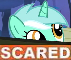 Size: 399x339 | Tagged: safe, lyra heartstrings, pony, unicorn, g4, expand dong, exploitable meme, female, horn, looking up, mare, meme, reaction image, scared, solo, tony kornheiser, why.jpg