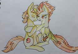 Size: 2690x1859 | Tagged: safe, artist:bleedingwings12, braeburn, spitfire, g4, female, male, shipping, spitburn, straight, traditional art