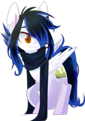 Size: 511x725 | Tagged: safe, artist:looji, oc, oc only, oc:sky digit, pegasus, pony, solo