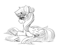 Size: 580x450 | Tagged: source needed, safe, artist:xieril, rainbow dash, pegasus, pony, g4, beanbrows, blushing, book, butt, eyebrows, eyebrows visible through hair, female, folded wings, grayscale, lidded eyes, lying down, mare, monochrome, plot, preggo dash, pregnant, prone, reading, sketch, solo, wings