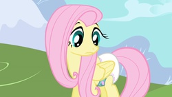 Size: 1024x576 | Tagged: safe, artist:mylittlediapers, edit, screencap, fluttershy, pegasus, pony, g4, diaper, diaper edit, female, non-baby in diaper, show accurate, solo