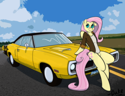 Size: 1280x989 | Tagged: safe, artist:askdukepony, fluttershy, g4, car, dodge (car), dodge super bee, female, pinup, solo