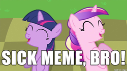 Size: 610x343 | Tagged: safe, edit, edited screencap, screencap, princess cadance, twilight sparkle, a canterlot wedding, g4, filly, filly twilight sparkle, funny, meme, reaction image, teen princess cadance