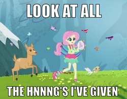 Size: 893x695 | Tagged: safe, edit, edited screencap, screencap, angel bunny, fluttershy, bird, deer, fawn, rabbit, equestria girls, friendship through the ages, g4, caption, clothes, cute, dress, female, folk fluttershy, image macro, meadow, meme, musical instrument, rockin' hair, shyabetes, solo, tambourine, text, the sound of music