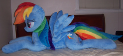Size: 1737x800 | Tagged: safe, artist:agatrix, rainbow dash, g4, bed, bedroom eyes, irl, photo, plushie, solo