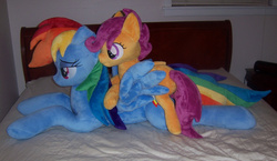 Size: 1379x800 | Tagged: safe, artist:agatrix, artist:penniesponyplushies, photographer:vile-flesh, rainbow dash, scootaloo, pegasus, pony, g4, bed, blank flank, cute, female, filly, foal, irl, lidded eyes, lying down, mare, photo, plushie, ponies in real life, ponies riding ponies, prone, rainbow dash plushie, riding, scootaloo riding rainbow dash, spread wings, wings