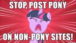 Size: 610x343 | Tagged: safe, edit, twilight sparkle, g4, angry, engrish, image macro, meme, reaction image