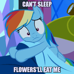 Size: 700x700 | Tagged: safe, screencap, rainbow dash, pegasus, pony, do princesses dream of magic sheep, g4, season 5, animated, bed, can't sleep clown will eat me, female, fetal position, image macro, lisa's first word, male, mare, meme, rocking, scared, the simpsons
