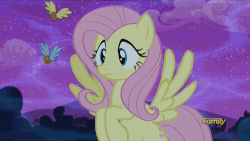 Size: 500x281 | Tagged: safe, screencap, crescent pony, fluttershy, mane moon, pegasus, pony, do princesses dream of magic sheep, g4, season 5, animated, biting, discovery family, discovery family logo, female, flutterbat, house, male, mare, monster, monster house, muffin, night, species swap, stallion, transformation, winged muffin
