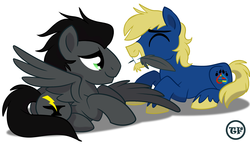 Size: 3300x1912 | Tagged: safe, artist:animatedvisions, oc, oc only, oc:anvil crawler, oc:doc helix, pegasus, pony, commission, cute, feather, gay, love, male, preening, shipping, wings