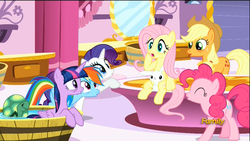 Size: 1920x1080 | Tagged: safe, screencap, angel bunny, applejack, fluttershy, pinkie pie, rainbow dash, rarity, tank, twilight sparkle, alicorn, pony, do princesses dream of magic sheep, g4, bags under eyes, carousel boutique, indoors, mane six, out of context, pun, shocked, surprised, twilight sparkle (alicorn), visual pun, wet mane