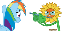 Size: 1861x947 | Tagged: safe, artist:roger334, rainbow dash, do princesses dream of magic sheep, g4, creepy, evil, flute, frown, glare, grin, musical instrument, nightmare, nightmare sunflower, palindrome get, ponyscape, scared, simple background, smirk, sunflower, the power of luna compels you, transparent background, vector, wide eyes