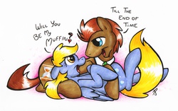 Size: 2690x1689 | Tagged: safe, artist:littletiger488, derpy hooves, doctor whooves, time turner, earth pony, pegasus, pony, g4, cuddling, looking at each other, looking at someone, male, ship:doctorderpy, shipping, stallion, straight, traditional art