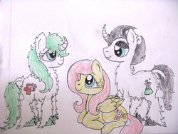 Size: 4000x3000 | Tagged: safe, artist:freakyfredover9000, fluttershy, oc, g4, don't starve, ponified, traditional art