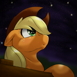 Size: 1000x1000 | Tagged: dead source, safe, artist:ushiro no kukan, applejack, g4, female, night, solo