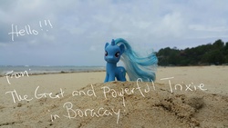 Size: 2560x1440 | Tagged: safe, trixie, pony, unicorn, g4, beach, contest entry, female, irl, mare, photo