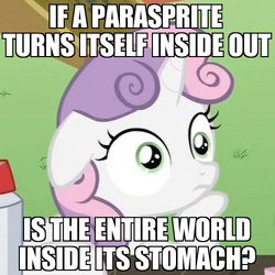 Size: 500x500 | Tagged: safe, screencap, sweetie belle, parasprite, g4, exploitable meme, female, image macro, meme, solo, sudden clarity sweetie belle