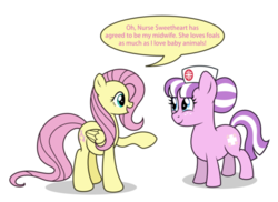 Size: 500x364 | Tagged: artist needed, safe, fluttershy, nurse sweetheart, earth pony, pegasus, pony, g4, ask, duo female, female, mare, pregnant, simple background, white background